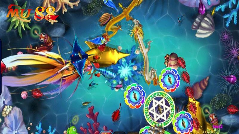 Áp dụng thêm kỹ năng hay để bắt cá ăn xu