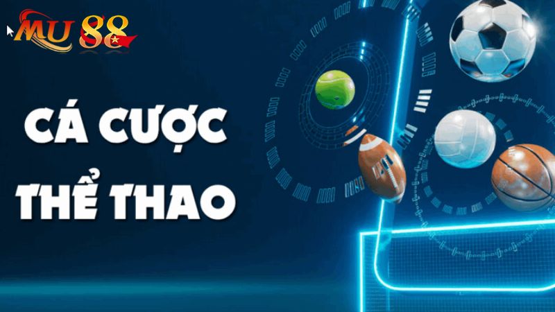 Cá cược thể thao hấp dẫn