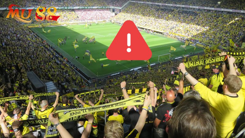 Thông tin về chính sách miễn trừ